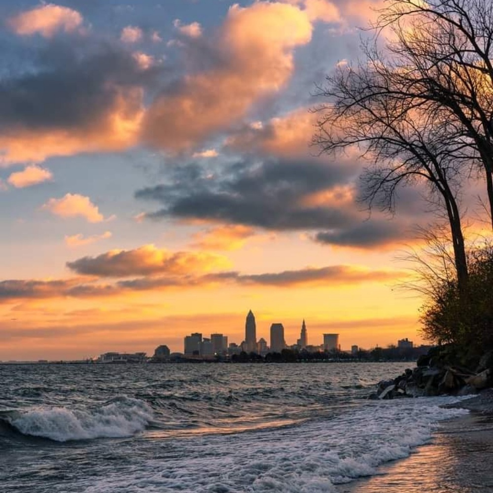 Meet your Posher, Tobi